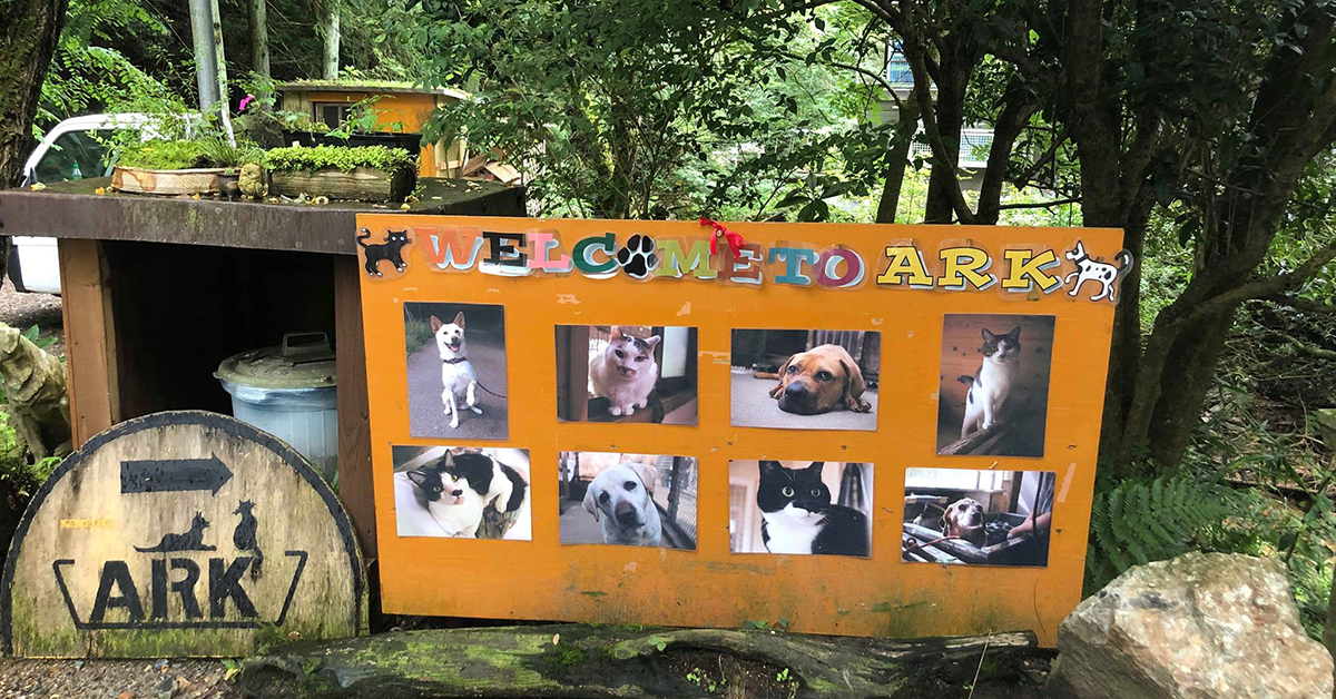 ARK welcoming sign shows photos of abandoned dogs and cats.