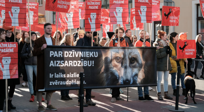 Mielenosoittajat vastustavat turkistarhausta Latviassa.