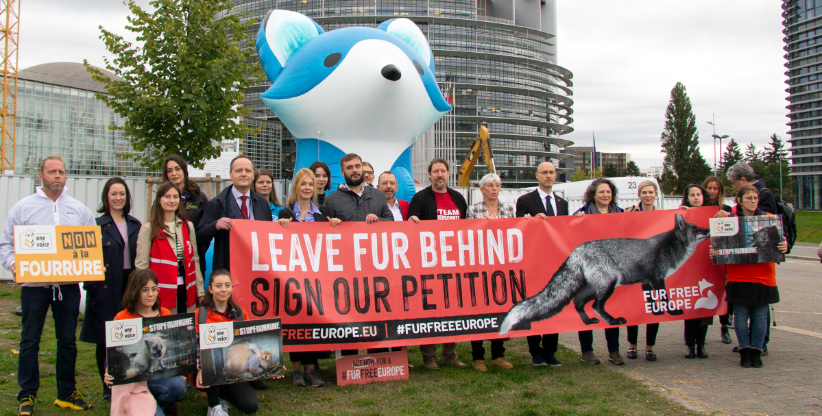 Euroopan parlamentin eläinten hyvinvointia edistävän ryhmän jäsenet pitävät turkistarhausta vastustavia kylttejä.