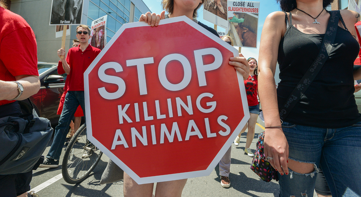 Mielenosoittaja pitää käsissään kylttiä, jossa lukee "Stop killing animals".