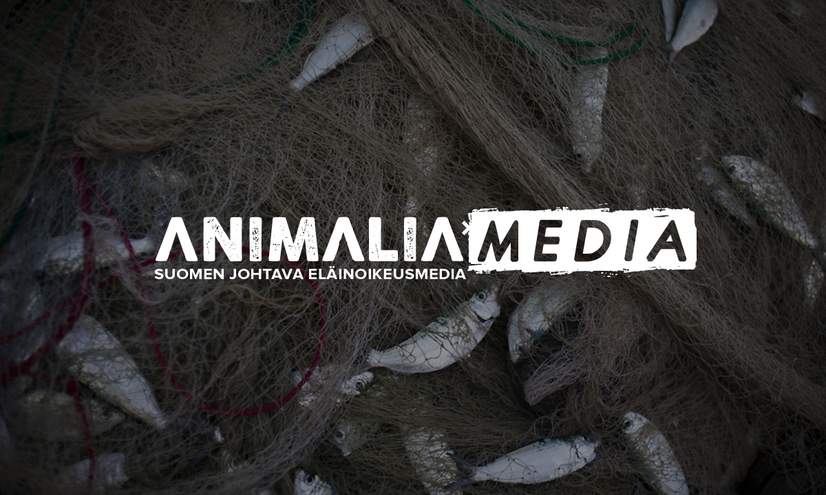 Animalia Media - Suomen johtava eläinoikeusmedia