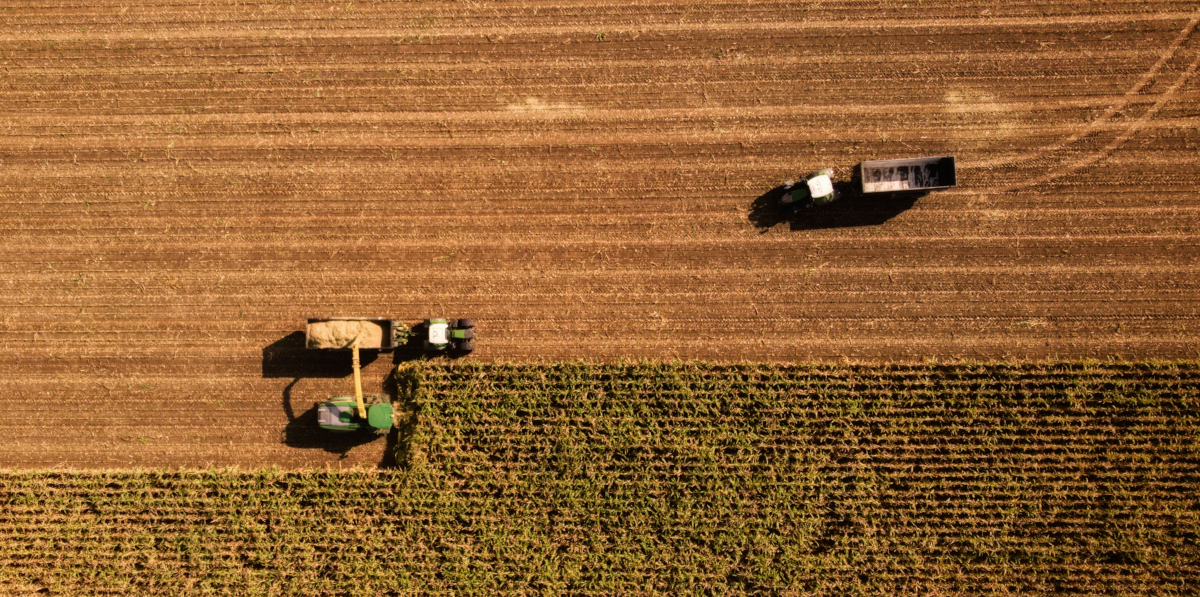 Puimurit korjaavat viljasatoa pellolla ilmasta otetussa kuvassa.