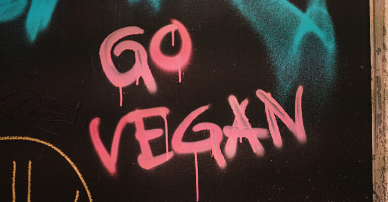 Go vegan -teksti mustalla seinällä