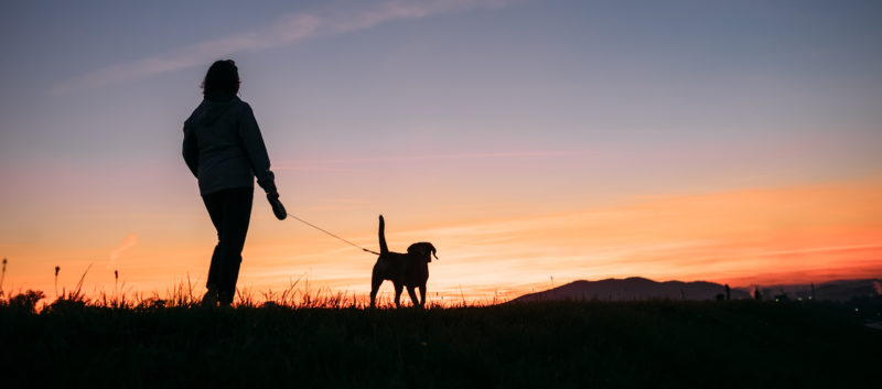 Ihminen ja koira kävelevät auringonlaskussa.