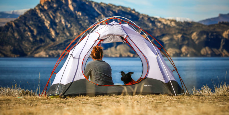 Koira ja ihminen istuvat teltassa veden äärellä.